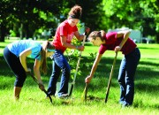 Central College has been recognized for proven community engagement and commitment to community service. The Center for Community-Based Learning has organized half- and full-day projects for more than 700 volunteers April 21.