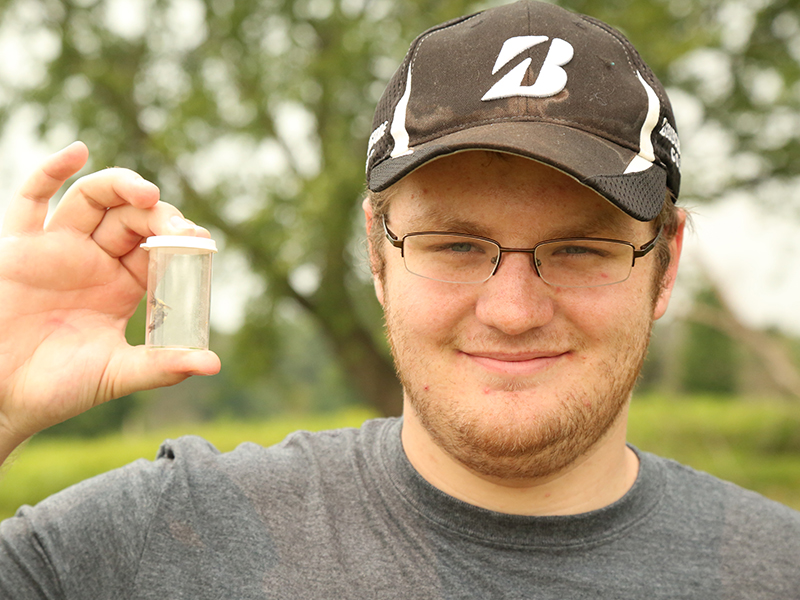 Casey Link ‘17, biology major, was one of 23 student researchers on campus this summer. He’s studying the genetic diversity of bees to help save them from dying out.