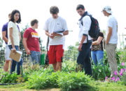 Central Wins Grant for Recycled Outdoor Furniture