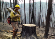 Ryan Schmidt ’12 and Melanie Louis ’12 recently fought wildfire in Washington and Kansas.