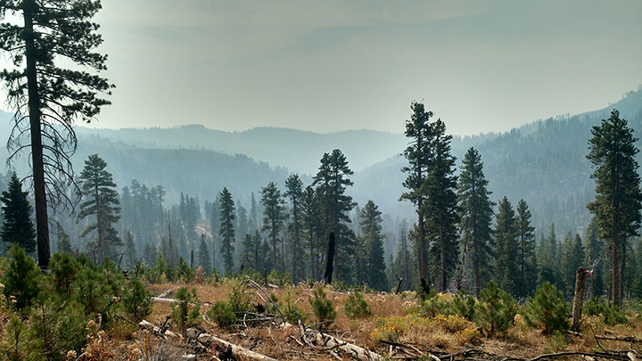 Smoke fills the valley during Oregon’s Rail Fire.