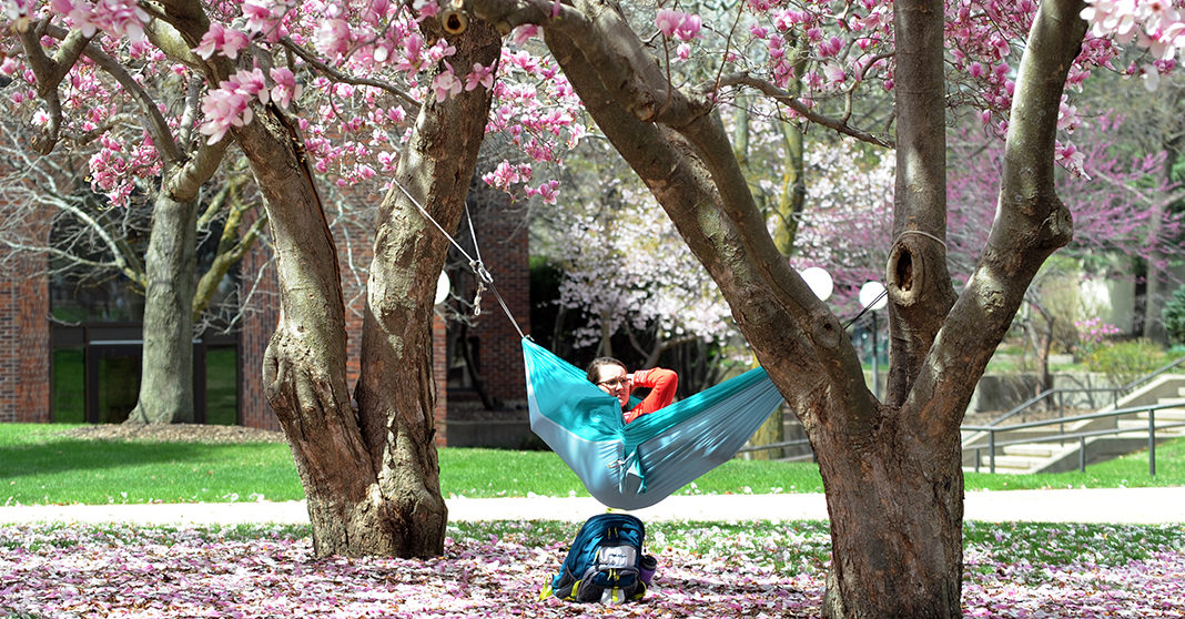 It won't be long until campus is sprinkled with blossoms and hammocks.