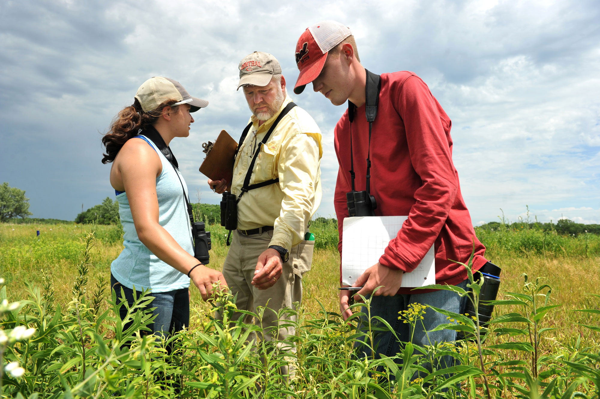 The Search for the Perfect Prairie