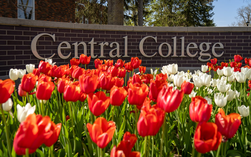 Photo of tulips in front of Central College sign.