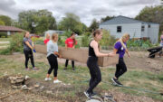 Service Day students working in a garden