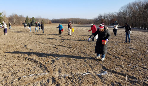 People spreading prairie seed on ground.