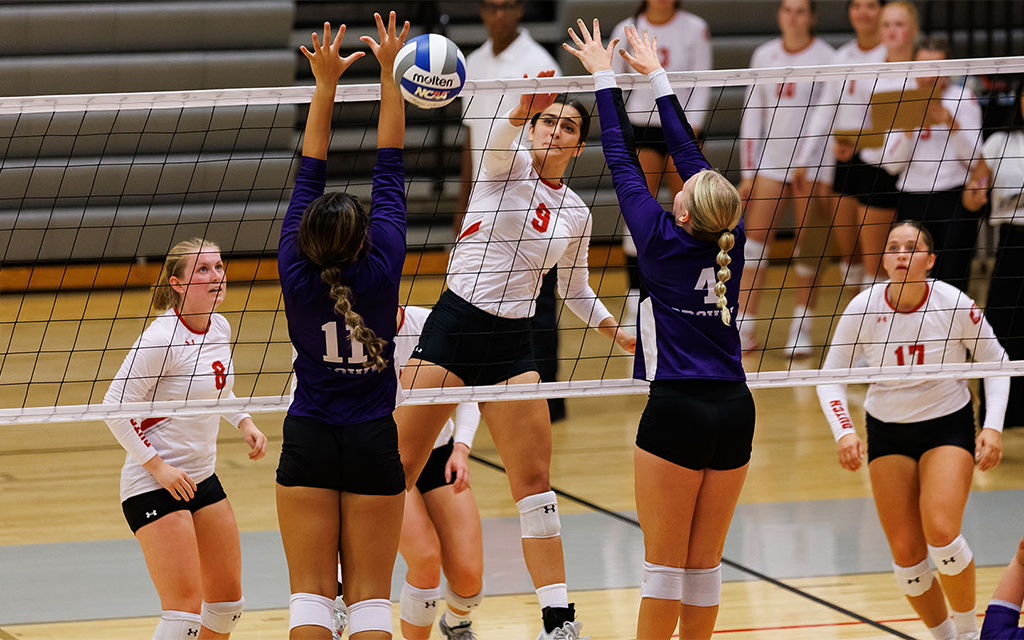 Central volleyball players during a game