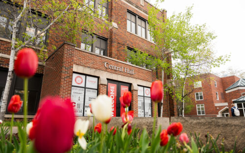 Red and white tulips in front of Central admissions office doors.