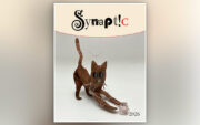 Synaptic Showcases Works Honoring Academics and Creativity